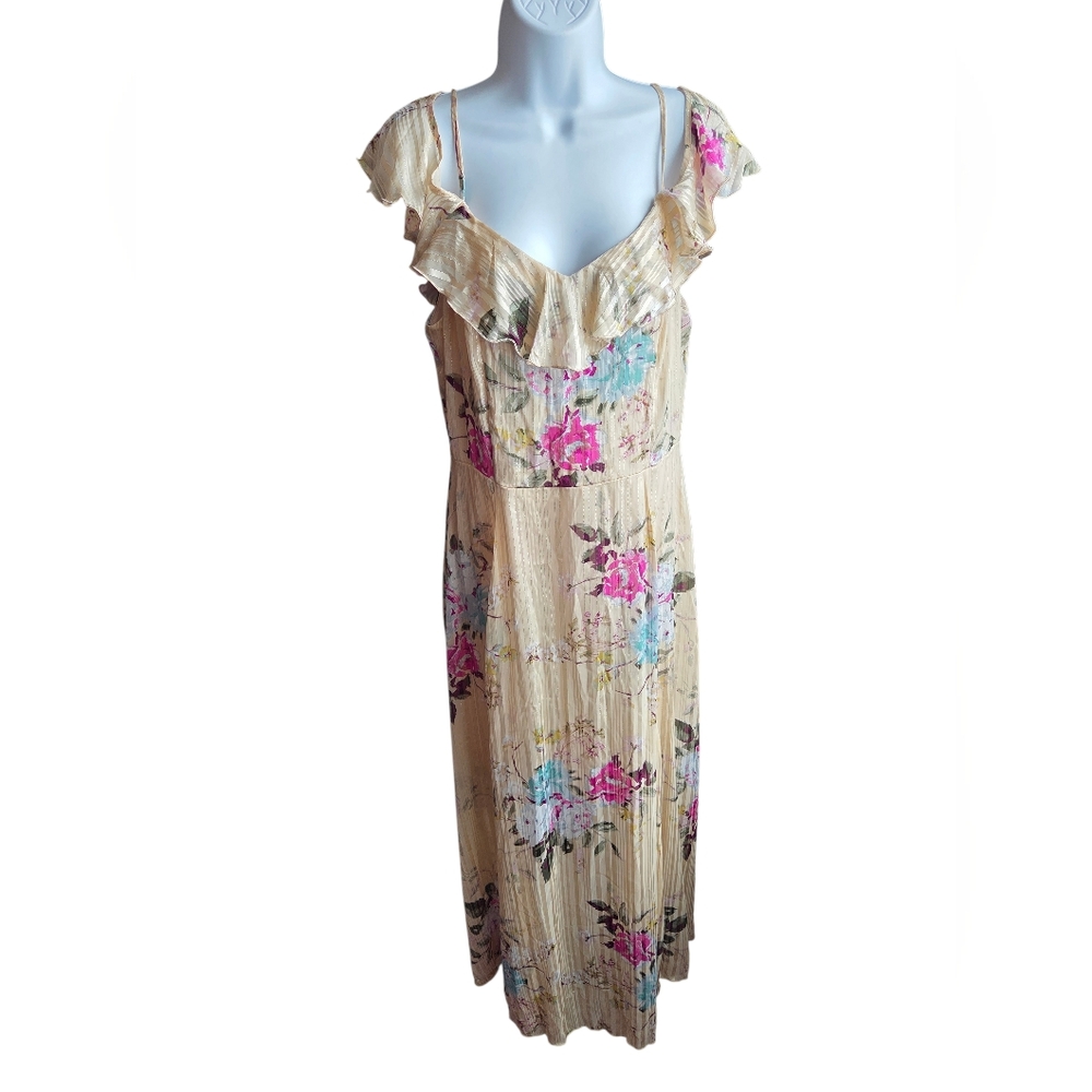 Alexa B Nites Beige Floral Chiffon Maxi Dress Size 10
